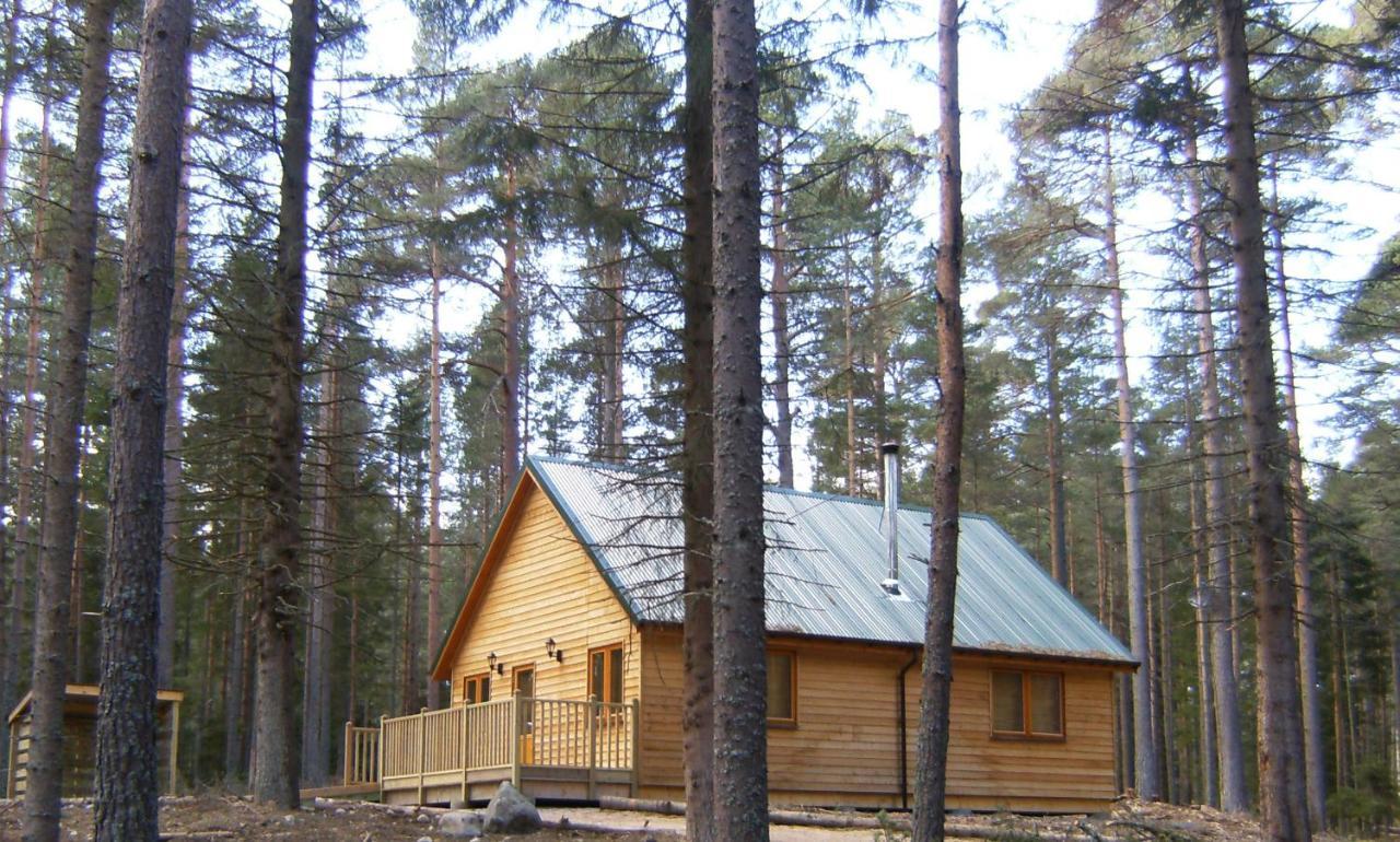 Cairngorm Lodges 阿博因 外观 照片