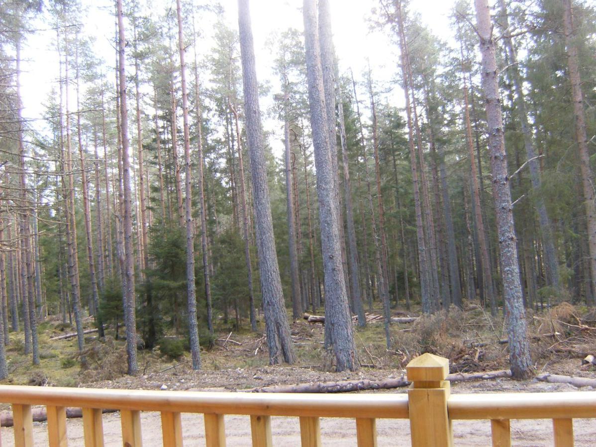 Cairngorm Lodges 阿博因 外观 照片