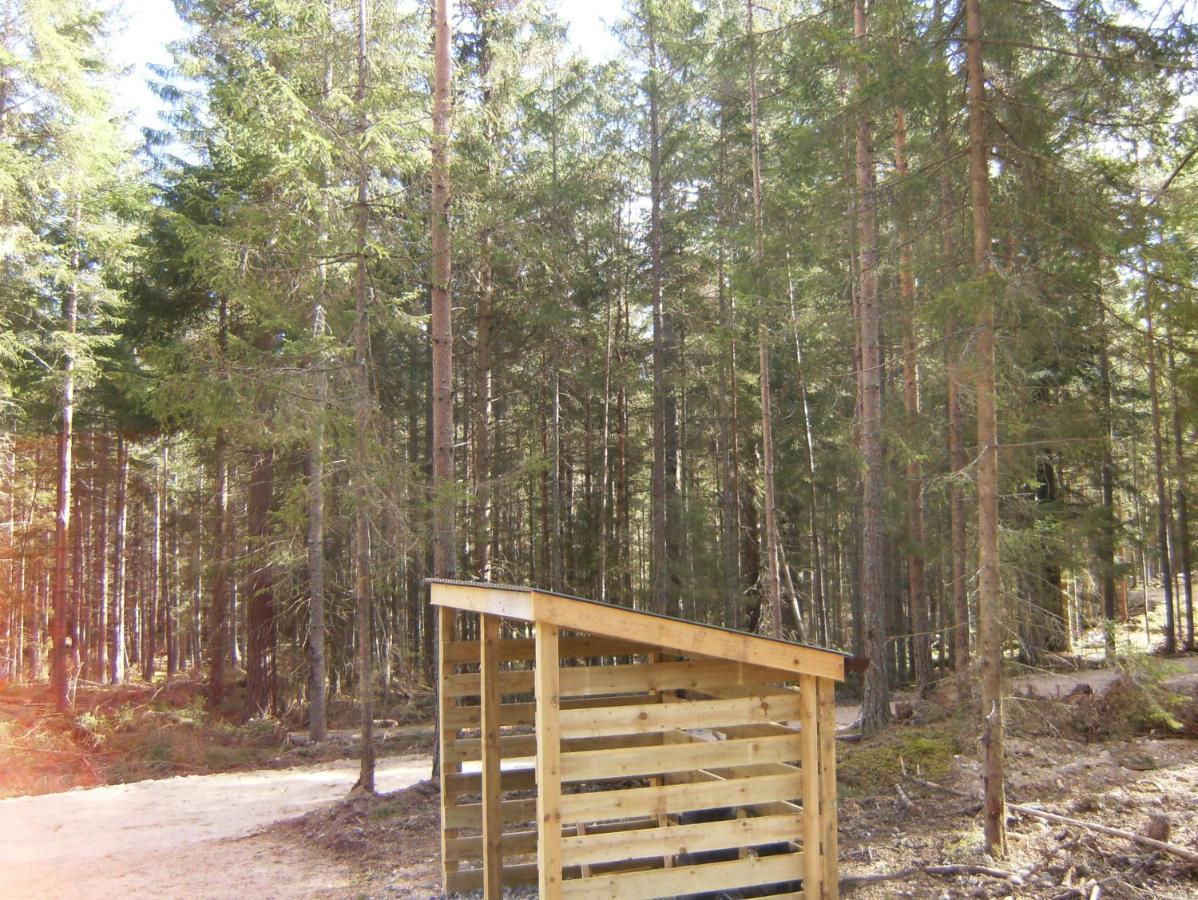 Cairngorm Lodges 阿博因 外观 照片