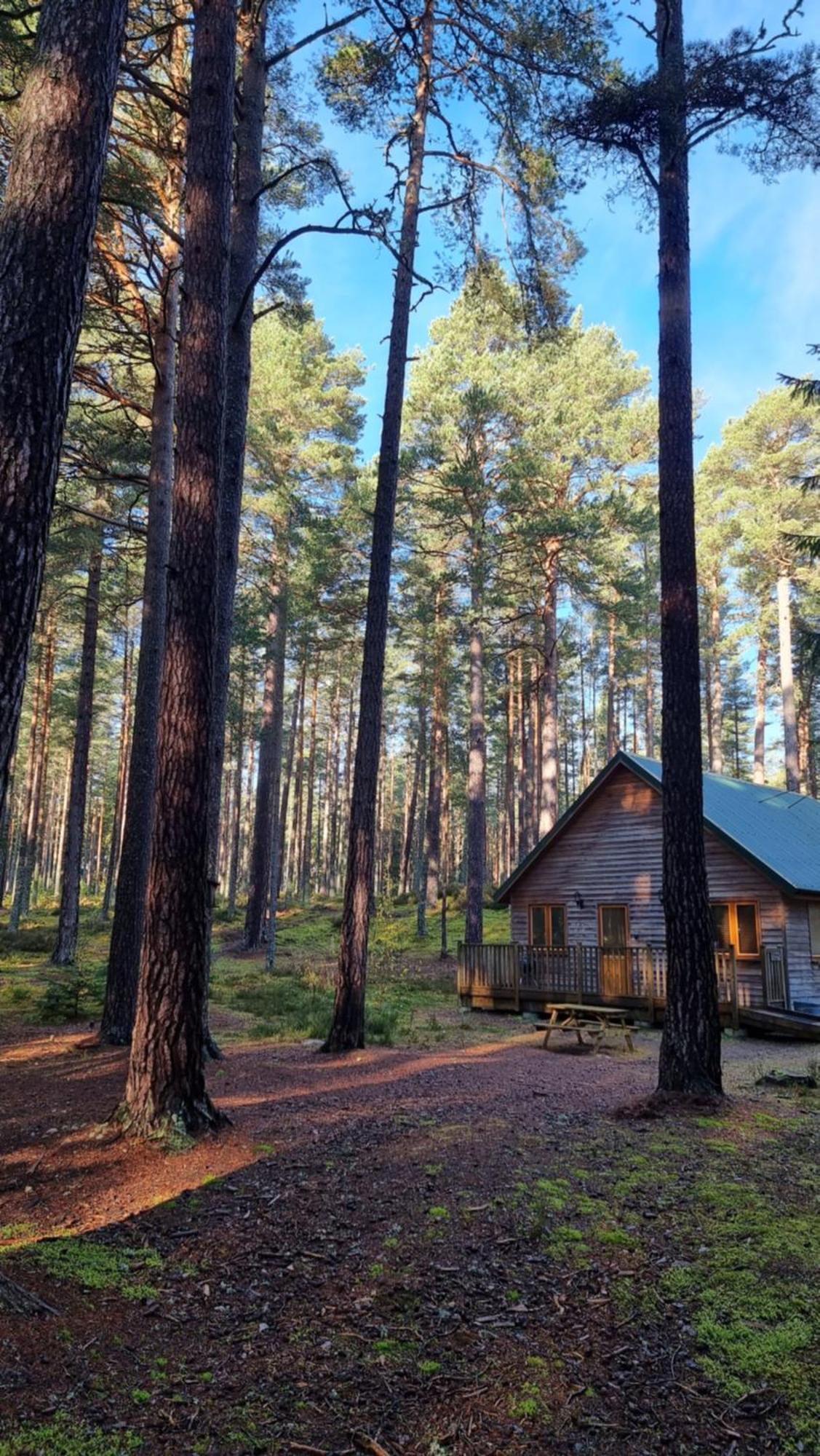 Cairngorm Lodges 阿博因 外观 照片