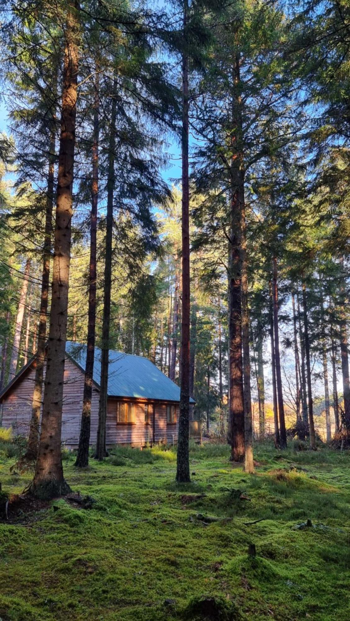 Cairngorm Lodges 阿博因 外观 照片