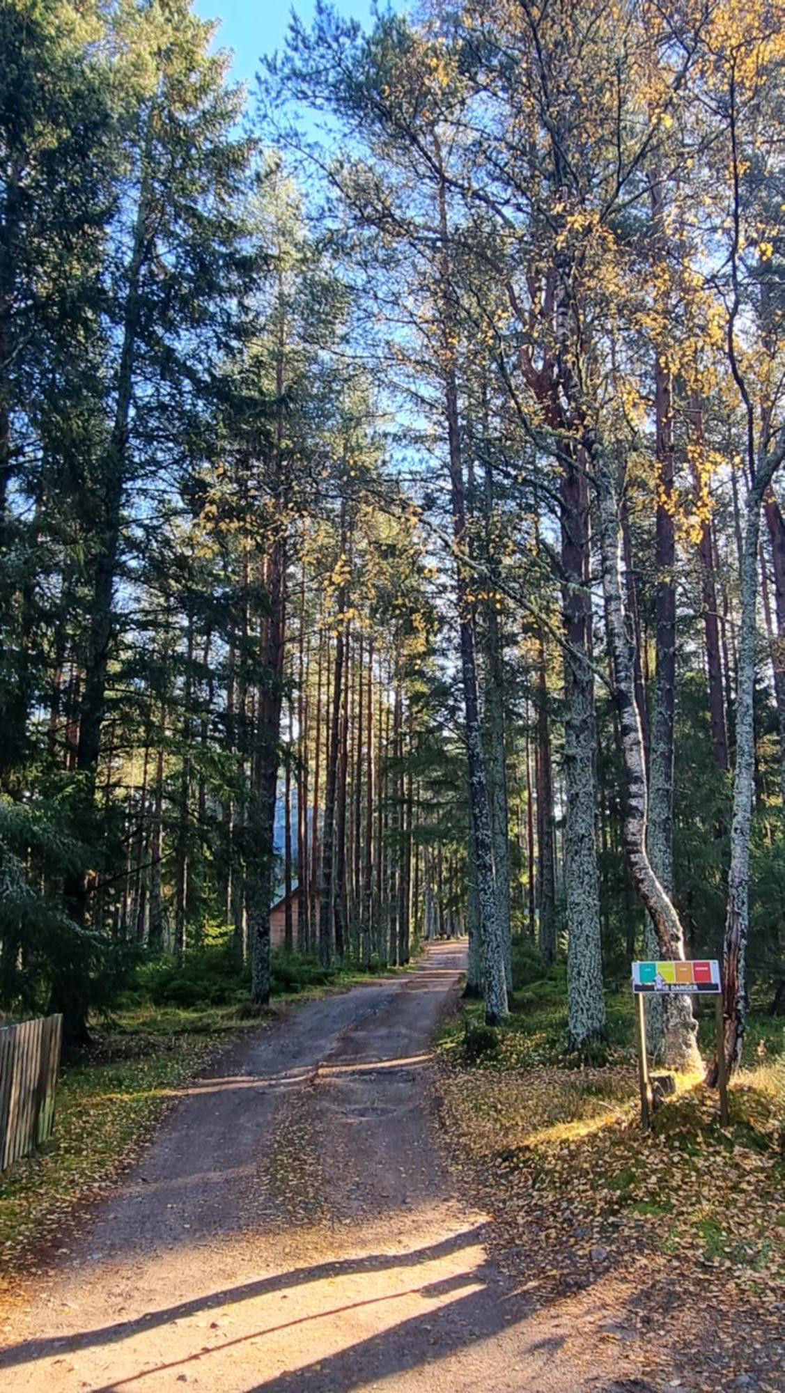 Cairngorm Lodges 阿博因 外观 照片